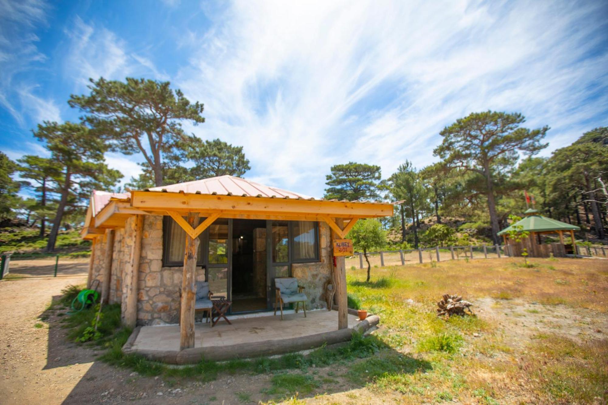 Babakamp Eco Ranch & Retreat 호텔 올루데니스 외부 사진