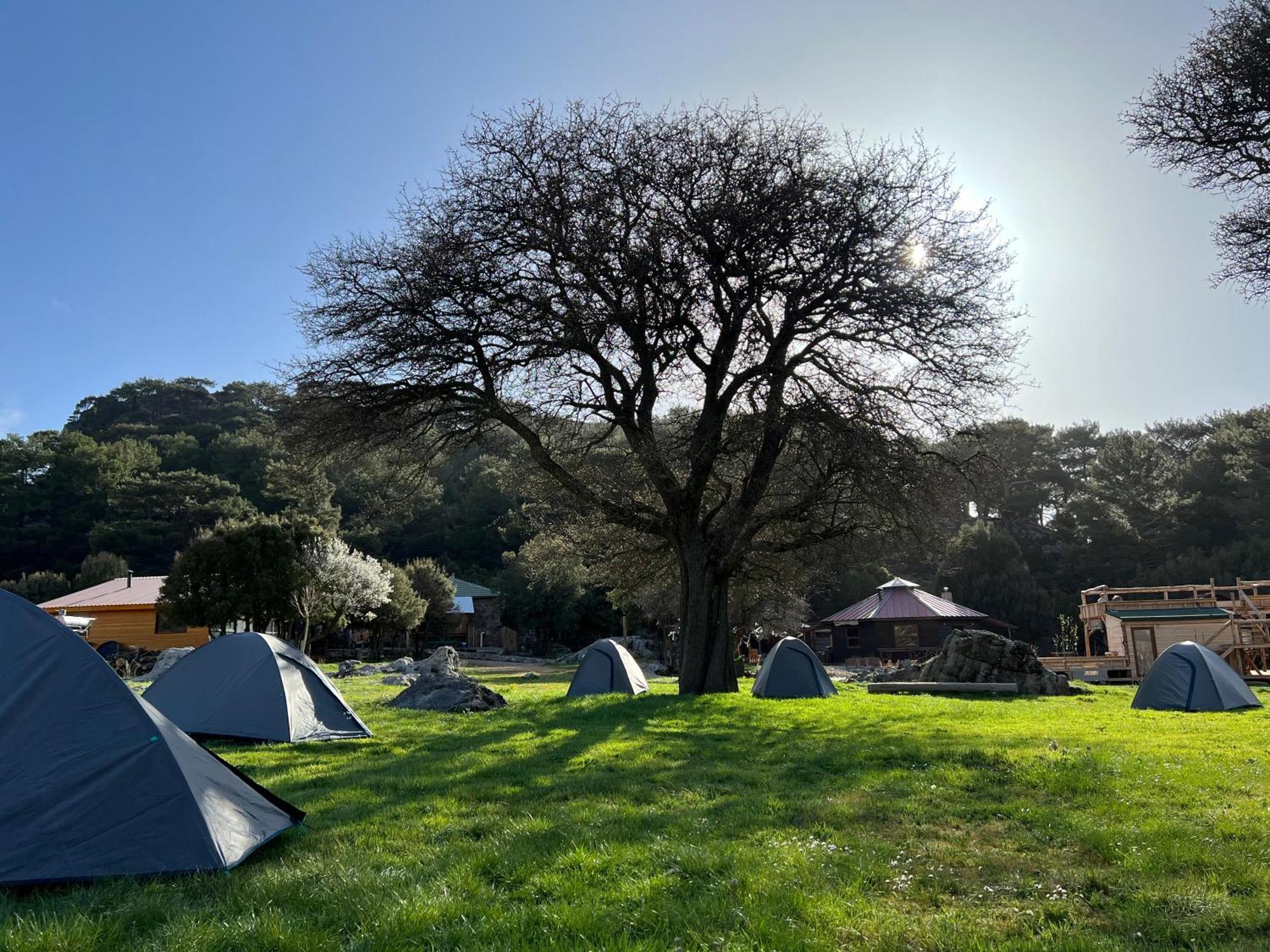 Babakamp Eco Ranch & Retreat 호텔 올루데니스 외부 사진